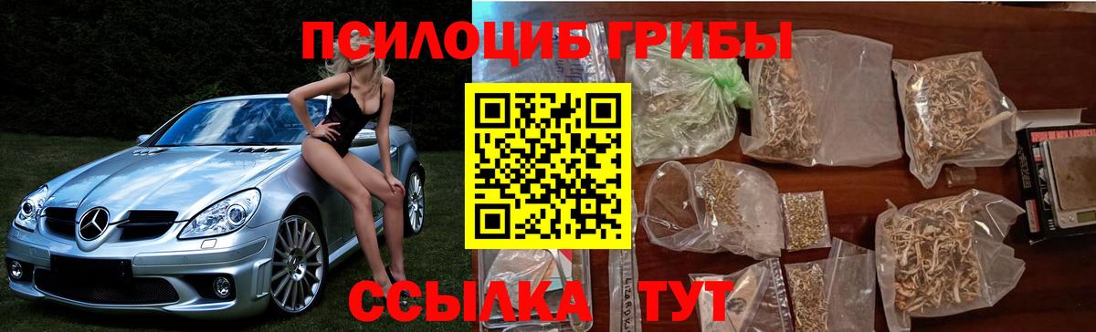 Галлюциногенные грибы Psilocybine cubensis  Вход с VPN  Набережные Челны 